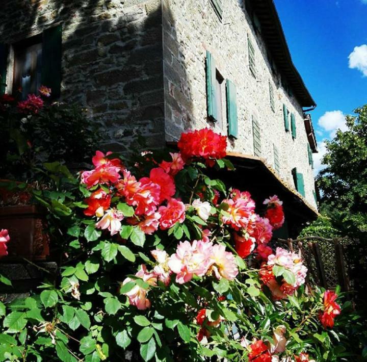Podere I Rovai-apt Il Rifugio- In The Heart Of Tuscany Casa vacanze Reggello