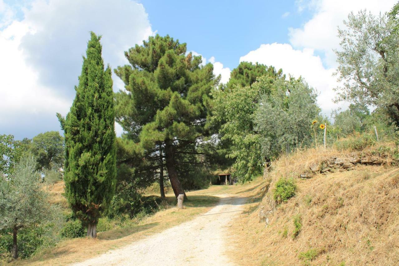 Casa vacanze Podere I Rovai-apt Il Rifugio- In The Heart Of Tuscany *