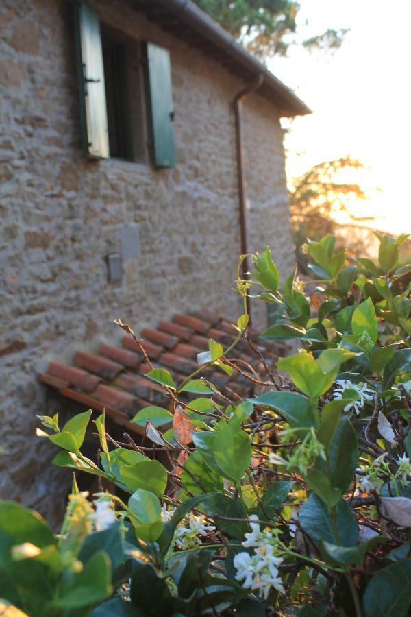 Podere I Rovai-apt Il Rifugio- In The Heart Of Tuscany *