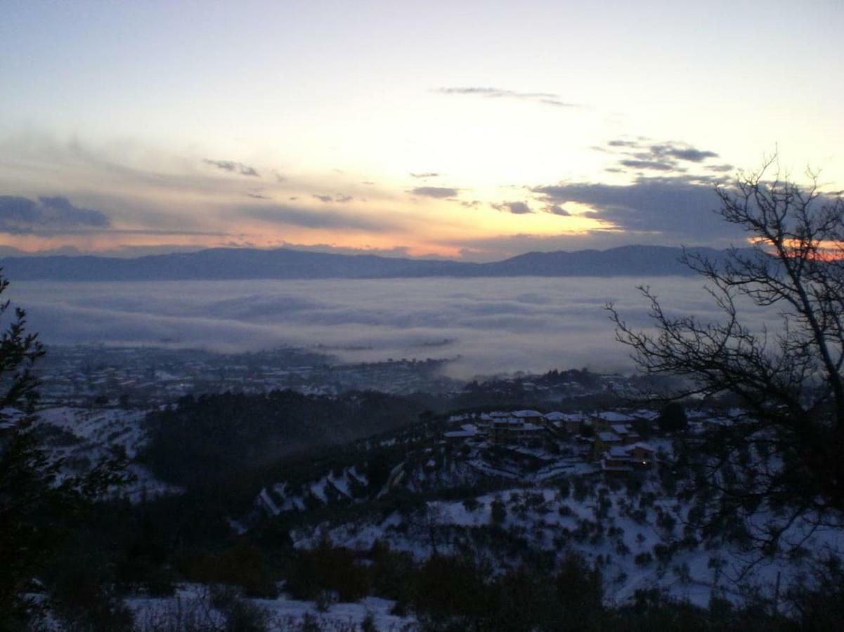 Casa vacanze Podere I Rovai-apt Il Rifugio- In The Heart Of Tuscany